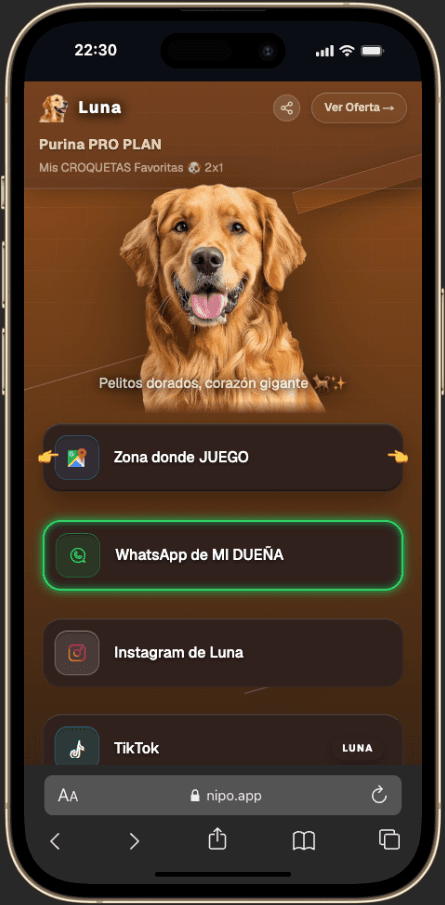 Ejemplo de NipoDock para personas